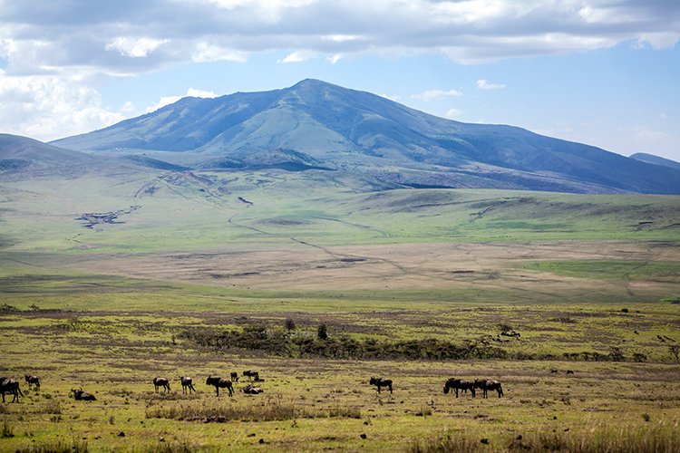 TZA ARU Ngorongoro 2016DEC23 041